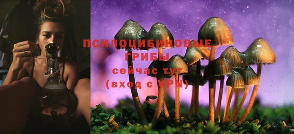 jwh Абаза