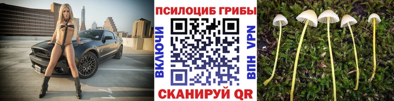 Галлюциногенные грибы MAGIC MUSHROOMS  Заволжье 