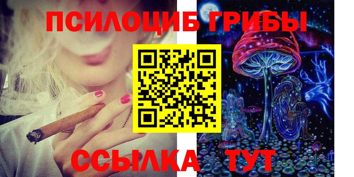 Псилоцибиновые грибы GOLDEN TEACHER Заволжье