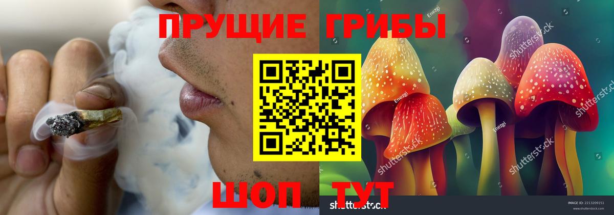 Псилоцибиновые грибы прущие грибы  Вход с VPN  Заволжье 
